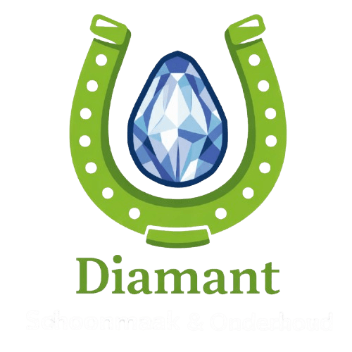 Logo Diamant Schoonmaak & Onderhoud